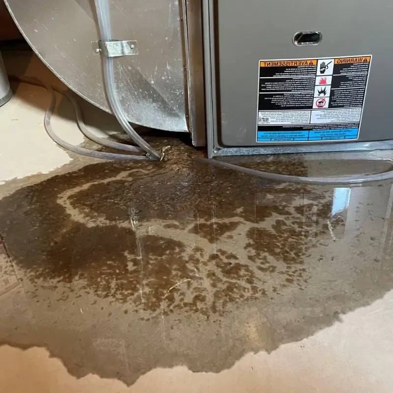 Pipe Burst and Leak Restoration in District Heights, MD