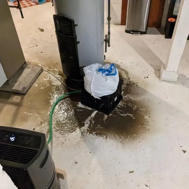 Sewage Backup Cleanup Service in District Heights, MD